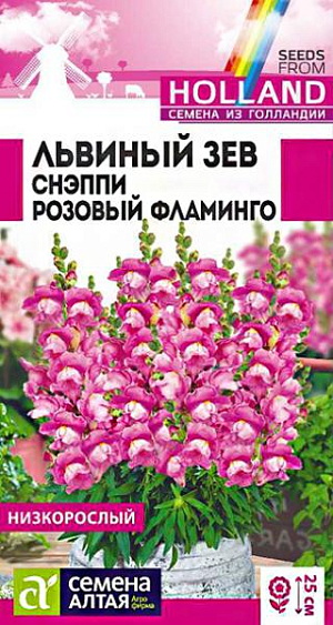 Семена Львиный зев Снэппи Розовый фламинго<br>
 <br>
 Великолепный низкорослый однолетник. Серия Snappy - исключительно компактная и очень ранняя, характеризующаяся прекрасным базальным ветвлением растений и богатой цветовой палитрой. Растения выравненные, компактные, не склонны к вытягиванию. Отличаются множеством ярких цветущих побегов высотой 20-25 см. Успешно применяется для создания бордюров, клумб, а так же для выращивания в горшках и контейнерах. Холодостойкое, засухоустойчивое растение. Хорошо растёт на солнечных участках, выносит небольшое затенение. Предпочитает плодородные почвы, не выносит переувлажнения. Выращивают рассадным способом или прямым посевом в грунт.<br>