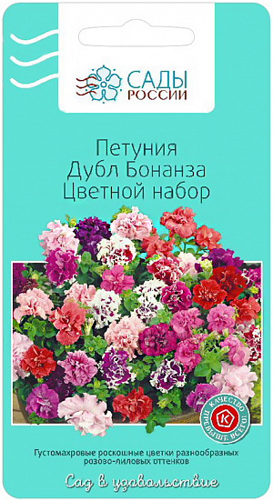 Семена Петуния Дубл Бонанза Цветной набор.
Люди, увидевшие махровые петунии в первый раз, не могут поверить, что это цветок петунии, а не мака или пиона, – настолько они необычны. Цветки густомахровые, плотные, диаметром до 6 см, лепестки причудливо изогнуты, что подчёркивает бархатистость, насыщенность окраски.