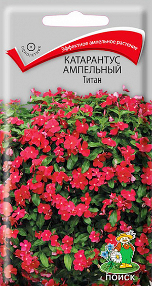 Семена Катарантус ампельный Титан. Длина побегов 50-75 см. Обильно цветущие кустики высотой 10-15 см. Листья тёмно-зелёные, овальные. Цветки красные. Используют для украшения балконов, лоджий, в подвесных корзинах, кашпо.<br>
 <br>
 Агротехника. Растение теплолюбивое, хорошо растет на открытых солнечных местах или в полутени. Обильно цветёт на лёгких, плодородных почвах. Посев семян производят в рассадные ящики в феврале-марте. Семена засыпают мелкозернистым песком слоем 3 мм. и поддерживают постоянную влажность. При температуре почвы 20°C всходы появляются через 15 дней. Высаживают по 3 растения в кашпо.