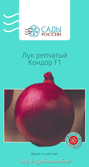 Лук репчатый Кондор F1