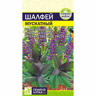 Семена Шалфей Мускатный