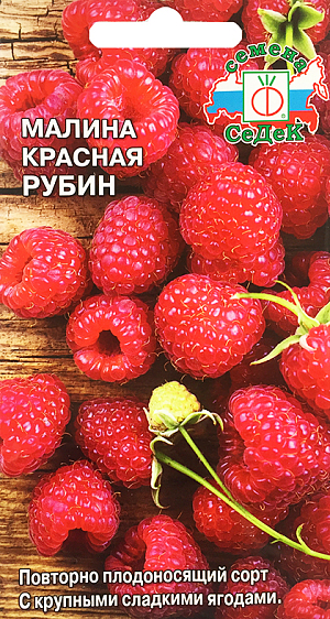 Малина красная Рубин