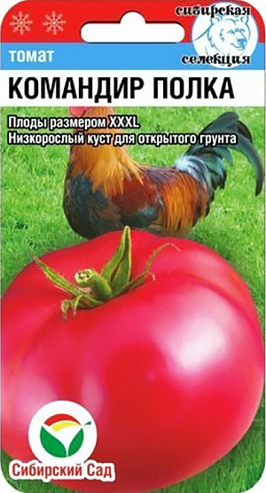 Семена Томат Командир полка