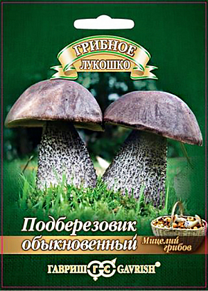 Мицелий грибов Подберезовик 
