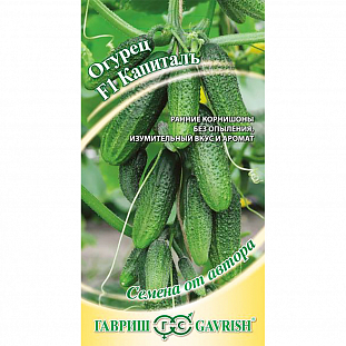 Семена Огурец Капитал F1