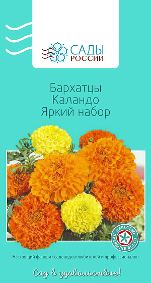Бархатцы африканские Каландо Яркий

Бархатцы прямостоячие, или африканские. Куст мощный с прочными цветоносами, соцветия густомахровые гвоздиковидные до 8 см диаметром. Достаточно холодостойки, но рассаду высаживают в грунт, когда минует угроза заморозков.
