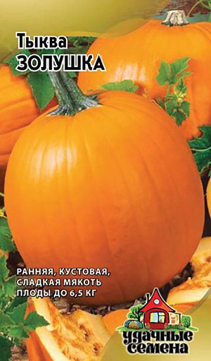 Семена Тыква Золушка