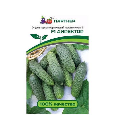 Семена Огурец Директор F1