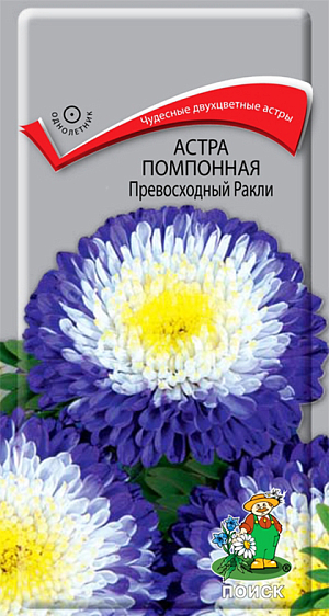 Семена Астра Превосходный Ракли помпонная. Чудесные двухцветные астры! Компактное растение высотой до 50 см. Соцветия диаметром 5-6 см, синие с белым центром. На растении до 30 соцветий. Цветет июль-август. Используют очень широко: для посадки в сборные цветники группами, на рабатки - рядами и на срезку.<br>
 <br>
 <br>
Растение предпочитает открытое солнечное место, но выносит и полутень. Лучше растет на легких, плодородных почвах. Не переносит внесения органических удобрений в год посадки. Семена высевают с середины февраля по апрель. Глубина заделки семян 0,5 см. При температуре почвы +20°С всходы появляются на 7-14 день. Через 3-4 недели посевы пикируют и выращивают при температуре +12-15°C. В грунт рассаду высаживают во второй половине мая, расстояние между растениями 20-30 см.
