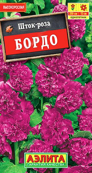 Семена Шток-роза Бордо. Величественные, стройные растения высотой до 2,5 м. Очень крупные, густомахровые цветки диаметром 10-12 см. собраны в гигантские соцветия – вытянутые кисти. Популярный сорт для посадки группами, для заднего плана смешанных цветников, декорирования стен и оград, создания изгородей при зонировании участка и на срезку. Срезанные соцветия великолепно стоят в воде, распускаясь до последнего бутона.<br>
 <br>
 Посев в открытый грунт на постоянное место в середине мая, в лунки по 2-3 шт. Всходы появляются через 2 недели, их прореживают, оставляя по 1 растению в лунке. Рекомендуем лёгкое укрытие на случай бесснежной зимы. Зацветает в июле следующего года.<br>
