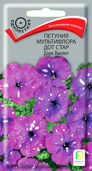 <div>
 Семена Петуния мультифлора Дот Стар Дарк Виолет.
</div>
 <b>Прорыв в области селекции!</b> Растение высотой 30-35 см, хорошо ветвится. Диаметр цветка 6-7 см. Ни одна другая петуния не может похвастаться звездным крапчатым рисунком. Окраска - белые крапинки на сине-лиловом фоне. Яркость и форма рисунка зависит от погодных условий - каждый цветок совершенно уникален. Быстро восстанавливается после дождя. Используют для оформления цветников, балконных ящиков и контейнеров.<br>
 <br>
 <b> Агротехника.</b> Растение светолюбивое, засухоустойчивое, хорошо растет на любых питательных почвах. Посевы проводят в феврале. Драже выкладывают на поверхность хорошо увлажнённого субстрата без заделки в грунт. Драже обильно опрыскивают из пульверизатора для растворения оболочки. Контейнеры накрывают плёнкой для обеспечения максимальной влажности воздуха и субстрата в первые 7-10 дней после посева. При температуре почвы +18-20°C всходы появляются на 7-14 день. Сеянцы пикируют в фазе 2-х настоящих листьев. Рассаду высаживают в мае, по 3 растения в подвесное кашпо или вазон Ø 21 см. Для получения наилучшего результата требуется прищипка.<br>
 <br>
 Семена соответствуют требованиям международных стандартов и ГОСТу РФ 12260-81
