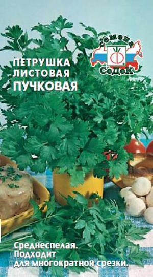 Петрушка Пучковая
