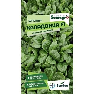 Шпинат Каладония