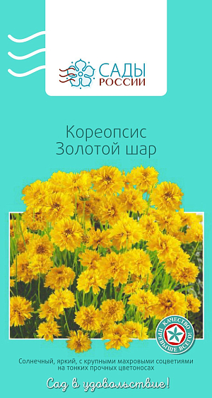 Кореопсис Золотой шар

В народе это нежное растение ласково называют ленок. Листья крупноперисто-рассеченные, соцветия крупные, 6 см в диаметре, золотисто-желтые, очень изящные, многочисленные. Не терпит застоя воды и высокой кислотности. Для пышного цветения кореопсиса почва должна быть рыхлой. Холодостойкий, зимует под снегом без укрытия.