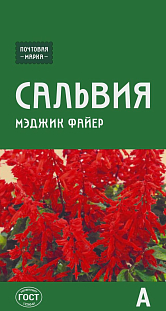 Семена Сальвия блестящая Мэджик файер