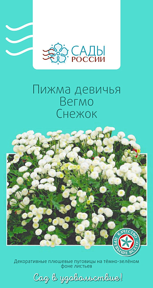 Пижма девичья Вегмо Снежок 8шт из каталога Разные Пижма девичья Вегмо Снежок
Сильноветвистое очень привлекательное растение с красивыми темно-зелеными перисто-рассеченными листьями и махровыми пушистыми соцветиями диаметром 1,5–3 см, собранными в зонтик. Пижма девичья серии «Вегмо» – окультуренная садовая форма, цветущая практически все лето до поздней осени. Первое цветение на 2-й год после посадки. Холодостойка. Хорошо зимует под снежным покровом, но в суровые зимы вымерзает.