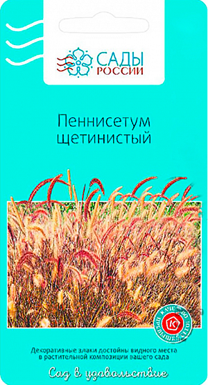 Семена Пеннисетум Щетинистый.
Розово-пурпурные ажурные колоски парят над свежей зеленью листьев, напоминая струи фонтанов. Зацветают в середине лета в год посадки и цветут до осени. Кусты неплотные, высотой 60 см. Прекрасный выбор для украшения любого сада и для букетов.