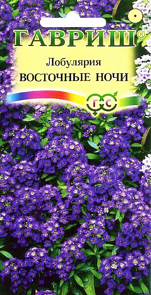 Семена Лобулярия Восточные ночи.
Однолетние растения из семейства крестоцветных. Кусты низкие, густоветвящиеся, компактные, высотой 8см. Листья узколанцетные. 
Цветки мелкие, 3-4 мм в диаметре, собраны в кистевидные пурпурно-фиолетовые соцветия, с сильным запахом меда, сплошь покрывают кусты во время цветения. 
Цветет лобулярия с июня до октября. 
Семена высевают в грунт в апреле-мае или в марте на рассаду. При температуре почвы 18° С всходы появляются на 14-20 день. 
Расстояние между растениями выдерживают 15-20 см. Возможен подзимний посев. К почвам нетребовательна, светолюбива, холодоустойчива. 
Не переносит избытка влаги и длительной засухи. Используют для широких ленточных цветников, массивов, бордюров, каменистых россыпей.
