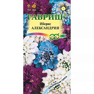 Иберис Александрия