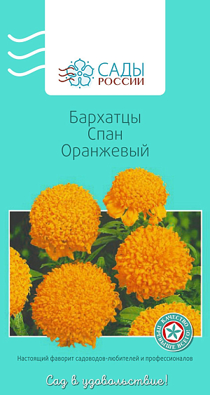 Бархатцы африканские Спан оранжевый

Бархатцы прямостоячие, или африканские. Куст крепкий, мощный, хорошо разветвленный с ярко-желтыми густомахровыми хризантемовидными соцветиями до 10 см в диаметре. Достаточно холодостойки, но рассаду высаживают в грунт, когда минует угроза заморозков.