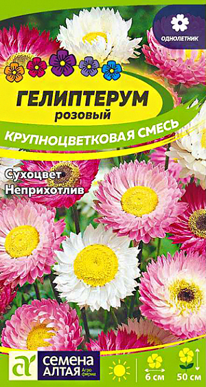 Семена Гелиптерум розовый "Крупноцветковая смесь".<br>
Однолетнее растение высотой 40–50 см, с прямыми суховатыми маловетвящимися стеблями, выходящими из розетки листьев. Соцветия – небольшие корзинки до 6 см в диаметре, вокруг которых расположены серебристые, белые, желтые или розовые крупные лепестковидные чешуйки. Используют преимущественно в зимних букетах, реже для цветочного оформления. Предпочитает открытые солнечные места с рыхлой, относительно небогатой почвой, не выносит извести. Посев производить в конце первой декады мая прямо в открытый грунт, присыпая слоем почвы около 5 мм. При рассадном способе в ящики высеваются семена в марте. Пикировка в торфяные локальные горшочки ведется при двух листах.