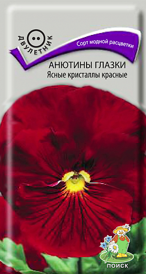 <div>
 Семена Виола Ясные кристаллы красные.
</div>
 Сорт модной расцветки из группы Ясные кристаллы. Растение с быстрым ростом, красиво и обильно облиственное, с крупными цветами чистой равномерной окраски без пятен. Высота растения 15 см. Растение зимостойкое. Используют для клумб и бордюров, в цветники - группами.<br>
 <br>
 <b> Агротехника.</b> Растение отличается обильным цветением и морозостойкостью. Предпочитает солнечные места (но хорошо растет и в полутени), рыхлые, плодородные почвы. Размножают посевом семян в июле на разводочные гряды. Семена слегка присыпают землей. При температуре почвы +18°С всходы появляются на 10-15 день. Сеянцы пикируют в фазе 1-2-й пары настоящих листьев. В конце августа - начале сентября рассаду высаживают на постоянное место, выдерживая расстояние между растениями 15-20 см. Семена соответствуют требованиям международных стандартов и ГОСТу РФ 12260-81