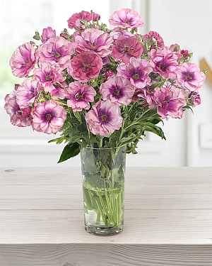 Лютик Баттерфляй Фива