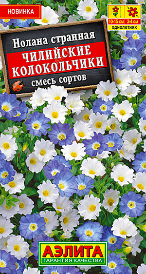Семена Нолана Чилийские колокольчики, смесь окрасок. Нежное и изысканное растение из прибрежных районов Чили! Нолана – <b>почвопокровный однолетник</b>, который станет настоящим сокровищем для оформления вашего сада. Растение очень ветвистое, высотой всего 10-15 см, стебли которого расстилаются, образуя сплошной зеленый ковер диаметром до 70 см, полностью усыпанный красивыми цветами  диаметром 3-4 см. Нолана прекрасно смотрится на альпийских горках и в каменистых садиках. При размещении в оконных ящиках, контейнерах и подвесных кашпо ее длинные стебли приобретают ампельную форму и красиво свешиваются за бортики емкостей.<br>
 <br>
 <b> Нолана – неприхотливое, засухоустойчивое и теплолюбивое растение.</b> Предпочитает солнечные места или легкую полутень. Выращивают рассадным способом. Всходы появляются уже через 7-8 дней. В открытый грунт высаживают после окончания весенних заморозков (конец мая). Чтобы сохранить аккуратную форму, побеги необходимо прищипывать.<br>