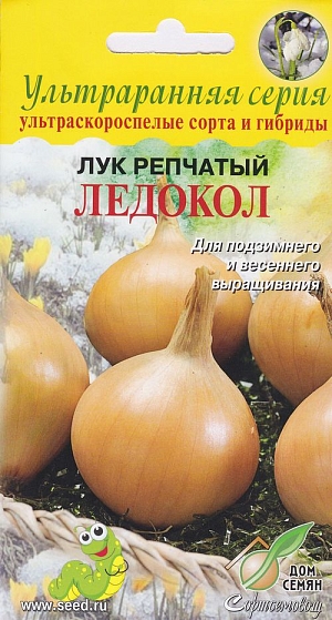 Лук репчатый Ледокол