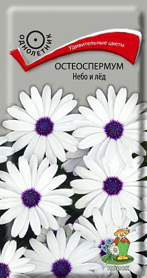 Семена Остеоспермум Небо и лёд.
Удивительные соцветия – белые лучи вокруг темно-синего диска. Растение 30 см высотой. Цветет очень обильно и продолжительно – с июля и до конца сентября. Используют в группах, миксбордерах, рабатках. 
Агротехника. Растение светолюбивое, засухоустойчивое. Обильно цветет на солнечных участках с хорошо дренированной плодородной почвой. Семена высевают в марте в ящики с легким песчаным грунтом. Глубина заделки семян 0,5 см. При температуре +20°C всходы появляются через 7-10 дней. Сеянцы содержат при умеренной температуре. В открытый грунт рассаду высаживают в конце мая, расстояние при посадке 20-25 см. Семена соответствуют требованиям международных стандартов и ГОСТу РФ 12260-81.