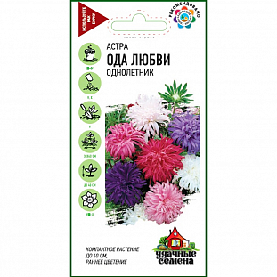 Семена Астра Ода любви, однолетняя (смесь)