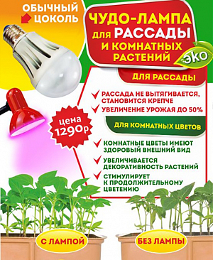 Фитолампа для растений Фитолампа для растений