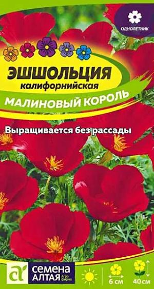 Семена Эшшольция "Лиловый луч".<br>
Один из самых очаровательных и неприхотливых однолетников. Высаживается большими группами и образует ажурное переплетение из многочисленных побегов с тонко-рассеченными сизоватыми листьями и очаровательными малиновыми чашечками цветков диаметром 5-6 см. Высота растения достигает 40 см. Растение для занятых людей, бывающих в саду нерегулярно. Исключительно неприхотливо, прекрасно цветёт на любых почвах и при любых капризах погоды. Своим цветением создаст радостное настроение на всё лето. Придаст легкость и изящность цветникам, клумбам, каменистым горкам, мавританским газонам. Растение светолюбивое, холодо- и засухоустойчивое, к почвам нетребовательно, но наибольшей декоративности достигает на легких дренированных почвах. Отзывчиво на полив и внесение удобрений (кроме свежих органических). Посевы проводят в конце апреля – начале мая в открытый грунт сразу на постоянное место. Глубина заделки семян 0,5-1 см. При температуре почвы +15-18°С всходы появляются на 8-10 день. Сеянцы прореживают, выдерживая интервал между растениями 10-12 см. Пересадку растение не переносит. Цветение продолжительное, с июня до осенних заморозков.