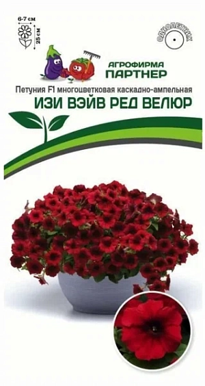 Характеристики
Жизненный цикл Однолетнее
Сорт Гибридный
Месяц посадки на рассаду Февраль
Месяц посадки в грунт Май
Место посадки Полутень/солнце
Бренд АГРОФИРМА ПАРТНЕР
Посадочный материал Семена
Культура Цветы
Цветы Петуния
Цвет бутона Красный
Дополнительная информация Качество семян соответствует ГОСТ 12260-81.