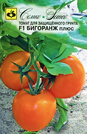 Семена Томат Бигоранж плюс F1