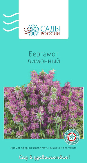 Бергамот лимонный