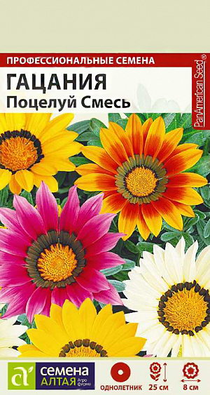 <div>
 Семена Гацания Поцелуй смесь.
</div>
Восхитительный яркий однолетник! Формирует плотный компактный кустик высотой 20-25 см. с красивыми листьями, имеющими серебристый налет, и короткой цветоножкой, на которой расположено до 12 цветков. Цветки очень яркие крупные, до 8 см. в диаметре, различной окраски. Гацания идеально подходит для выращивания в кашпо, контейнерах, цветниках, рабатках, будет прекрасно смотреться на каменистых горках и в гравийных садиках. Растение жаро- и засухоустойчивое, предпочитает открытые солнечные участки с хорошо дренированной легкой почвой. Избытка влаги не переносит, может переносить резкие похолодания до -5...-7ºC. На рассаду семена высевают с середины марта в глубокие ящики, т.к. растение имеет длинный стержневой корень. Грунт предварительно прокаливают около 3 часов, затем его проливают насыщенным раствором марганцовки, остужают и наполняют посадочные емкости, обеспечив дренаж. Семена раскладывают в шахматном порядке, соблюдая между ними интервал 2-3 см, и слегка заделывают грунтом (0,5 см). Для получения наилучшего результата посев рекомендуем проводить в торфяные таблетки (одно драже в таблетку). Посевы увлажняют, накрывают стеклом и помещают в теплое (+18-20ºC) светлое место. Проветривать посевы и удалять конденсат нужно ежедневно. Всходы появляются через одну-две недели, стекло убирают. Полив умеренный, только когда почва хорошо подсохнет. В фазе двух-трех настоящих листьев сеянцы пикируют в торфяные стаканчики и переносят в более прохладное помещение (+12-16ºC). В открытый грунт рассаду высаживают в конце мая - начале июня на интервал 20 см, когда минует угроза заморозков. Можно выращивать прямым посевом семян в грунт в конце апреля – начале мая. Цветение раннее и продолжительное, с июня до осенних холодов. Внимание! Семена дражированные - оболочку драже не разрушать!