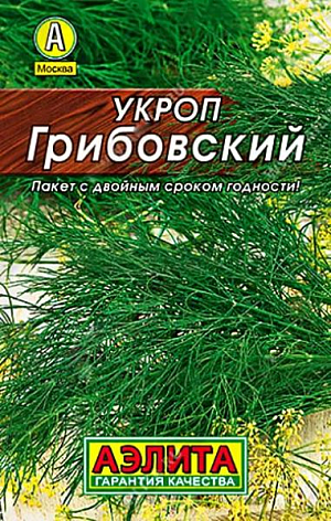 Укроп Грибовский