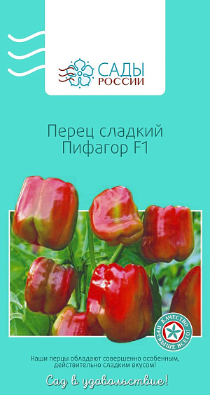 Семена Перец сладкий Пифагор F1