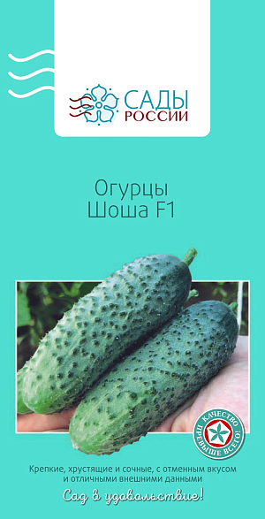 Огурец Шоша 5шт