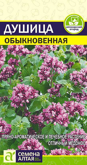 Душица Обыкновенная