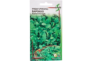 Индау (руккола) Барокко