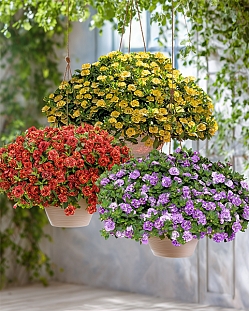 Набор махровых калибрахоа №1