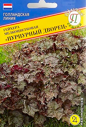 Семена Гейхера мелкоцветковая Пурпурный дворец.
Многолетник. Гейхера – прекрасное и очень популярное декоративное садовое растение, широко используемое в ландшафтном дизайне в основном из-за своих удивительных листьев. «Пурпурный дворец» - сорт с бронзово-пурпурной листвой, высотой 15-20 см. Листья собраны в прикорневую розетку, зимуют под снегом. Цветки мелкие, собраны на многочисленных высоких цветоносах. Обычно их сразу же удаляют. Гейхеру широко используют на клумбах, рабатках и миксбордерах, в различных композициях в сочетании с мож жевельниками и декоративно-лиственными кустарниками, рядом с ва лунами. Посев осуществляют в феврале-апреле в рассадные ящики. Семена равномерно распределяют по поверхности влажного компоста, слегка заделывают, накрывают стеклом или прозрачной пленкой для поддержания влажности.Семена прорастают 4 недели при температуре 18-21 градус. После прорастания пленку или стекло убирают. В дальнейшем выращивают на свету, но избегая попадания прямых солнечных лучей. После появления 1-2 пары настоящих листочков сеянцы пикируют в отдельные горшочки или ящики с шагом 5-10 см. На постоянное место гейхеру высаживают в начале июня с шагом не менее 20 см. Цветёт в июне-августе. Предпочитает плодородные, хорошо дренированные почвы. Светолюбива, но выносит полутень. К холоду устойчива. На зиму однолетние сеянцы укрывают опавшими листьями слоем в 10 см.
