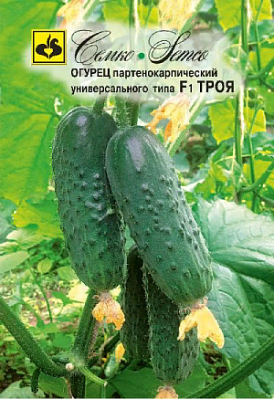 Семена Огурец Троя F1
