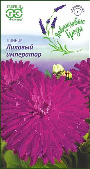 Семена Цинния Лиловый император.
Эффектная высокорослая цинния с лиловыми кактусовидными соцветиями 6-10 см в диаметре. 
Образует мощный, ветвистый от основания куст высотой 90 см. Цветение продолжительное и обильное с июля по сентябрь. 
Цинния светолюбива, засухоустойчива и теплолюбива. Выращивают рассадным способом. Семена высевают в апреле. 
Всходы появляются через 4-6 дней. 
В начале июня растения высаживают на расстоянии 30 см. Используется для озеленения и получения срезки.