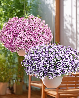 Набор супертуний №3