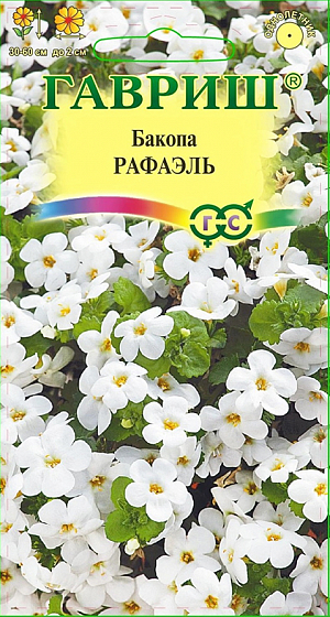 Семена Бакопа Рафаэль.
Романтичная бакопа своим нежным видом вызывает бурю положительных эмоций у цветоводов и флористов. 
Может использоваться как ампельное растение для озеленения балконов и почвопокровный однолетник для альпийских горок. 
Очень мило смотрится в смешанных посадках с петунией, невысокими розами, хризантемами. 
У бакопы поникающие побеги длиной 30-60 см обильно усыпаны миниатюрными фиолетовыми цветками, чередующимися с расположенными попарно изумрудными листочками. Замечательные свойства растения - продолжительное цветение (волнами в течение лета), способность к самоочищению от увядших цветков и устойчивость к затяжным дождям. 
Влаголюбива, хорошо переносит перепады температуры, растет на солнце и в полутени. 
Для получения пышных кустиков рекомендуется обрезать и формировать побеги. 
При посеве семена равномерно распределяют по увлажненному, слегка уплотненному субстрату, накрывают стеклом и ставят емкость в теплое светлое место. По мере просыхания почвы посевы аккуратно увлажняют из пульверизатора. 
При температуре 20 °С первые всходы появятся через 10-15 дней. В фазе 3-х настоящих листьев растения пикируют, в открытый грунт высаживают, когда минует угроза заморозков.