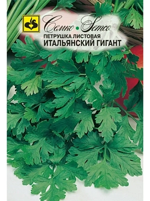 Семена Петрушка Итальянский гигант