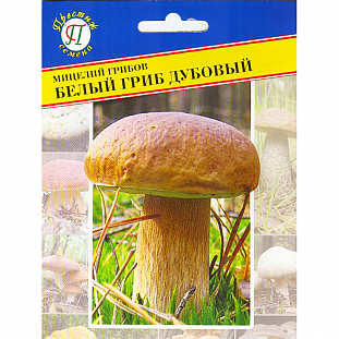 Мицелий грибов Белый гриб Дубовый 